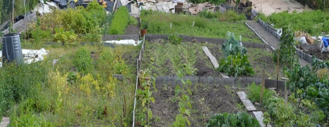 Allotment