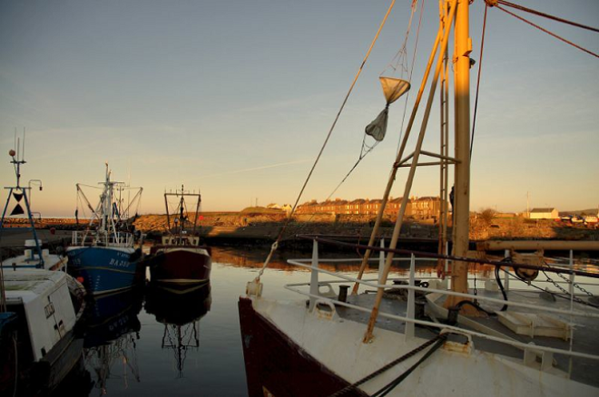 fishing boats in harbour