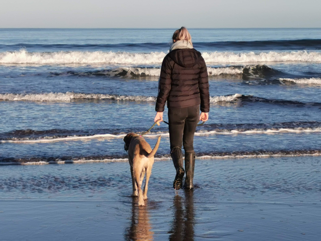 SRN team member Hannah walking her dog