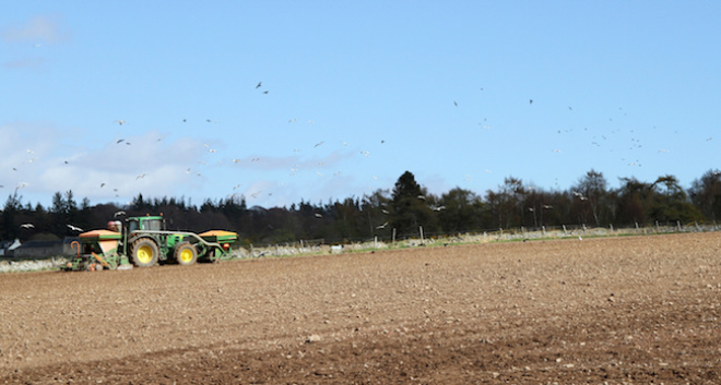 Tractor in field