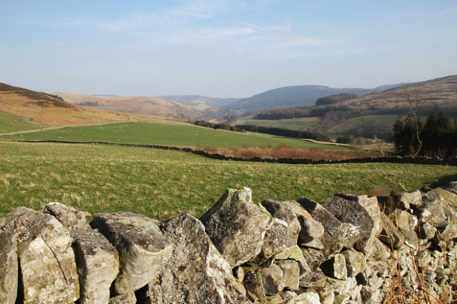 Farm landscape 