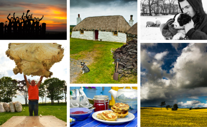 collage of our six photo competition finalists