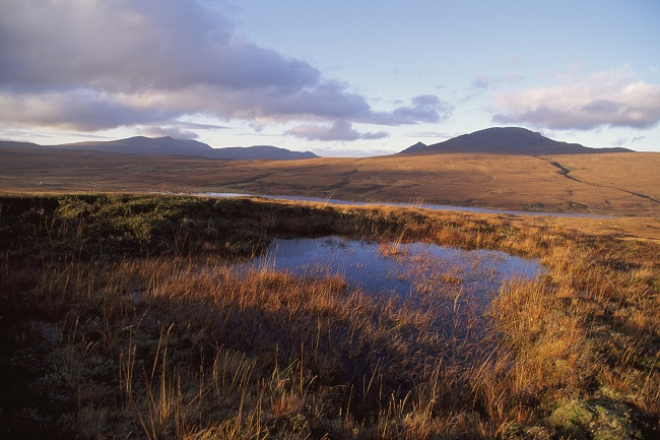 Flow Country landscape