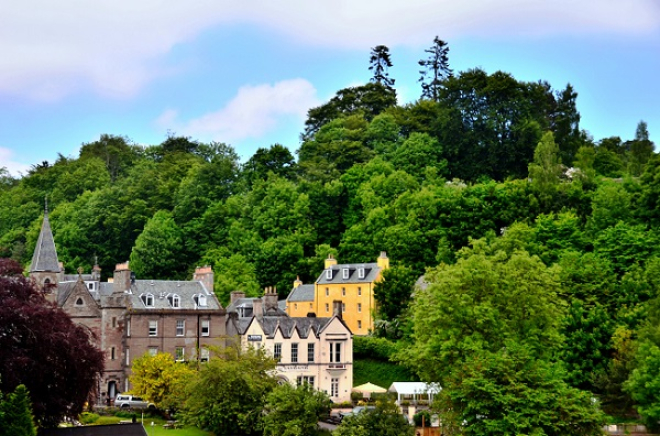 Small town view with trees