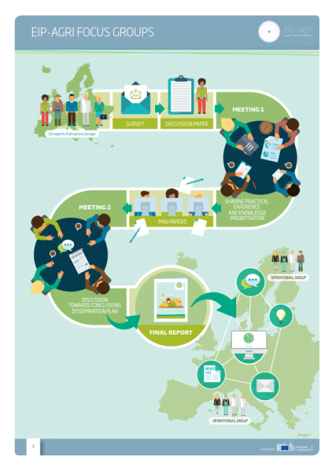 Infographic on EIP-AGRI Focus Groups