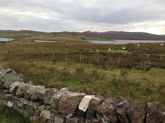 Lewis landscape with fields and sea in background