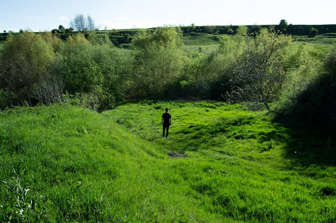 Man standing in a field