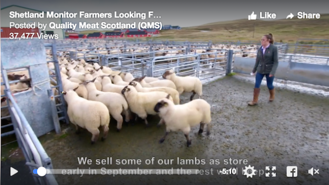 SCreenshot from Shetland Monitor Farm video