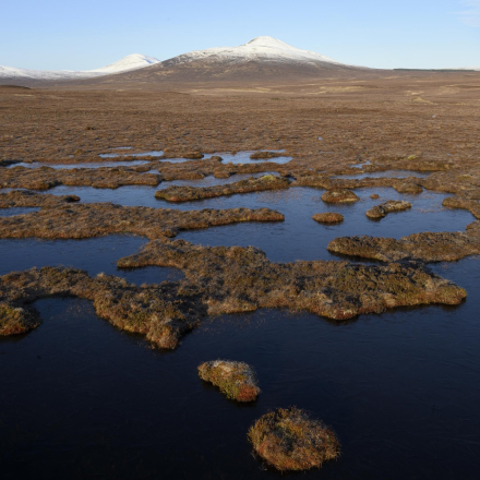 peatland bogs Scottish landscape