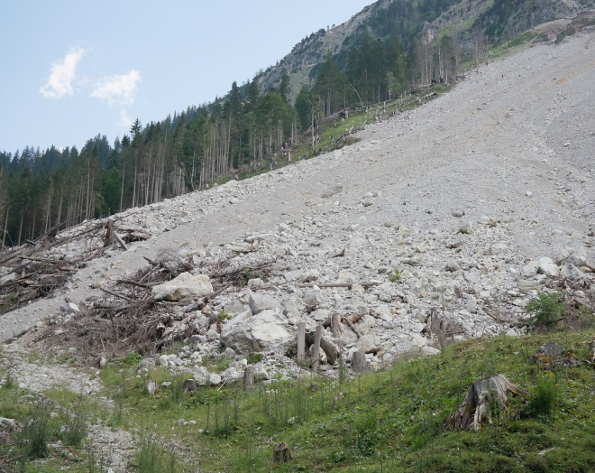 Rubble from landslide on hillside