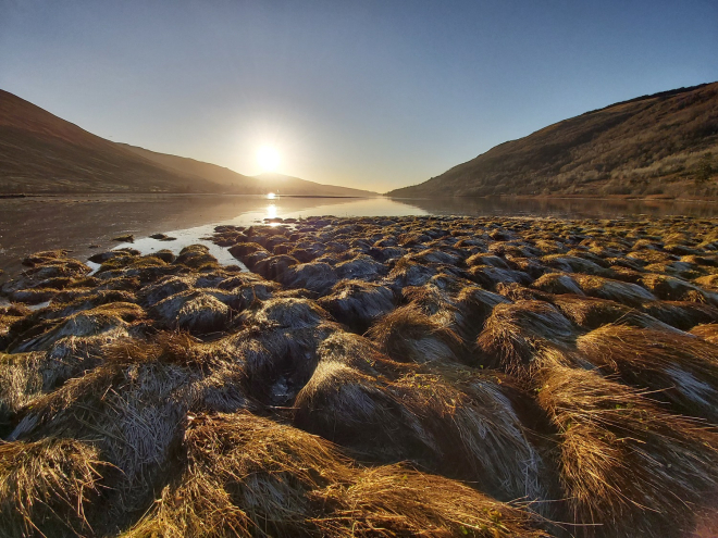 Saltmarsh at the head of Loch Fyne, Argyll - credit professor Bill Austin