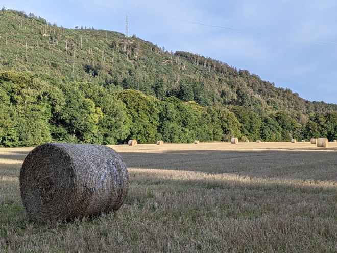 straw cut and baled with forrestry hill in background