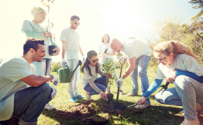 People planting tree