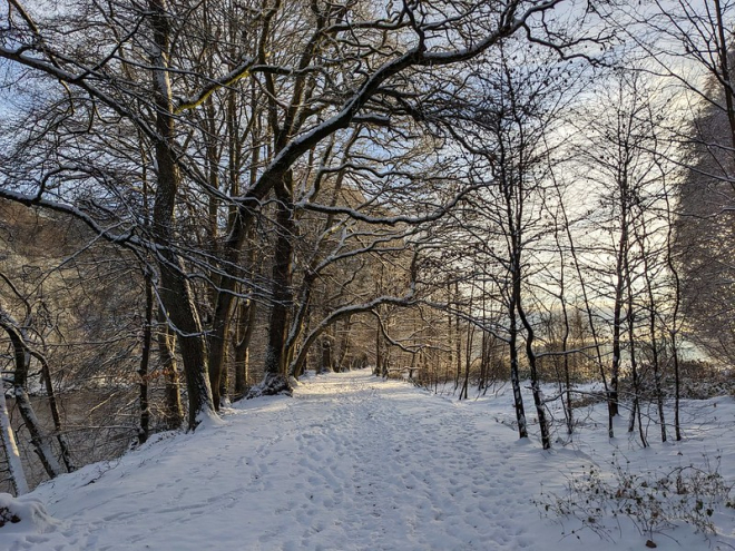 Riverbank footpath covered in snow edged by denuded trees