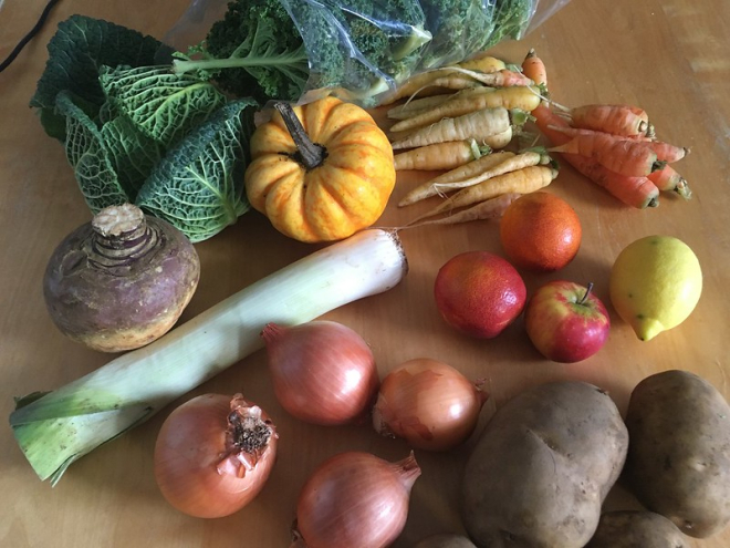 selection of fresh vegetables