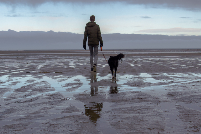 a man walking his dog on the beach