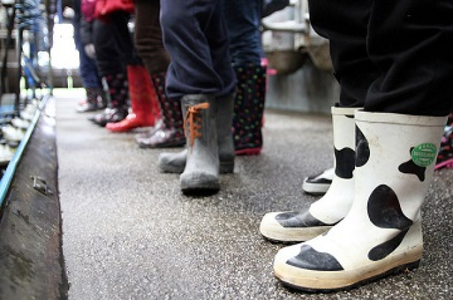 picture of wellington boots at a farm