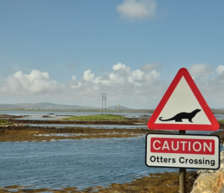 Otters crossing warning sign at causeway on Uist