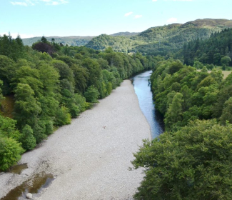 Forestry in Perthshire