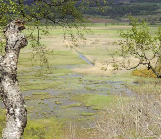 Woodland and flooded farmland - Image by Nature Scot 