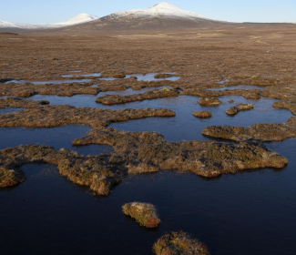 peatland bogs Scottish landscape