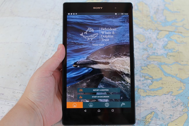 Use The New Whale Track App To Report Sightings Scottish - 